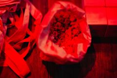 20240120-Play-Right-by-Julia-Egger-02979